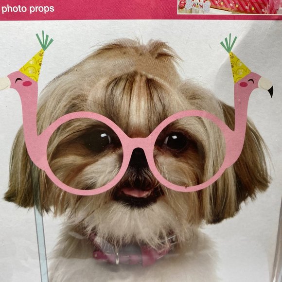 Pet Puppy Dog Party Photo Props Glasses Phot Shoot - Picture 4 of 13